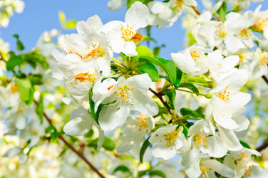 Similar image 185341