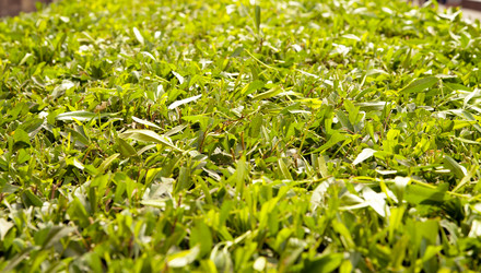 Similar image 185373