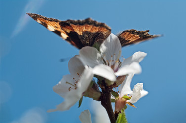 Similar image 185435