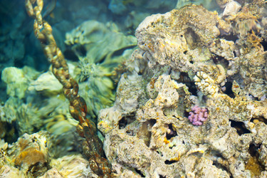 Similar image 185473