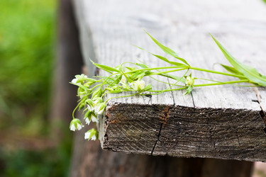 Similar image 185625