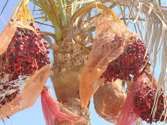 Similar image 185636