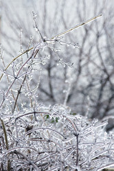 Similar image 185689