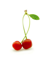 Similar image 185754