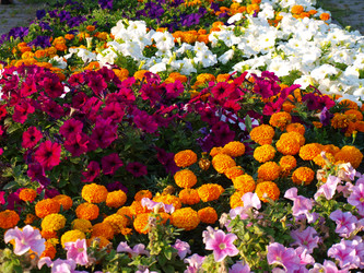 Similar image 185805