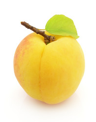 Similar image 185864