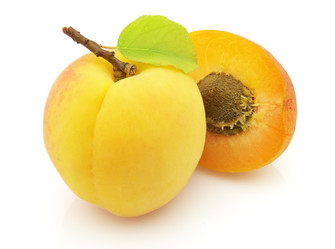 Similar image 185865