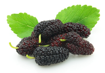 Similar image 185868