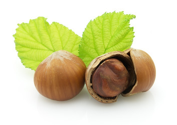 Similar image 185869