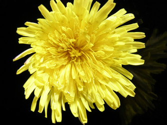 Similar image 185913