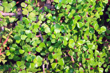 Similar image 185993