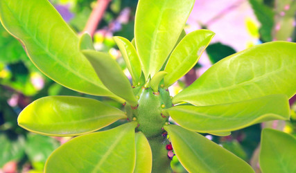 Similar image 185994