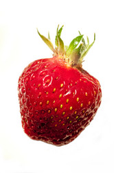 Similar image 186005