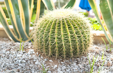 Similar image 186076