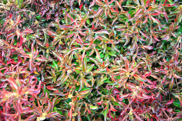 Similar image 186178