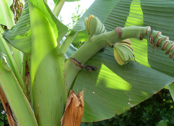 Similar image 186215