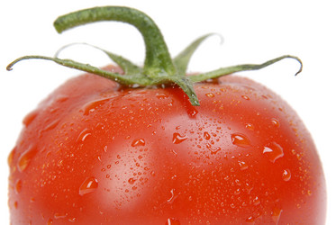 Similar image 186313