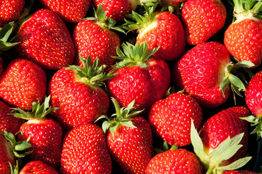 Similar image 186316