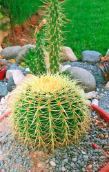 Similar image 186414