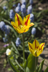 Similar image 186435