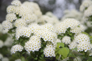 Similar image 186540