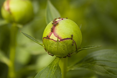 Similar image 186555