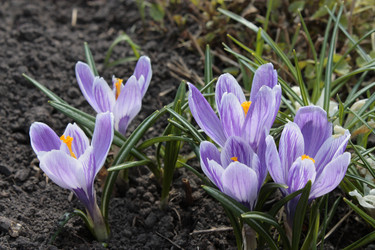 Similar image 186560