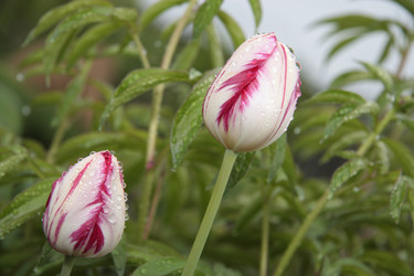 Similar image 186561