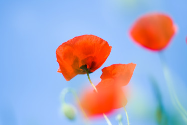 Similar image 186563