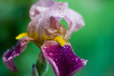 Similar image 186564