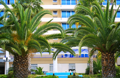 Similar image 186574