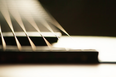 Similar image 186615