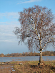 Similar image 186624