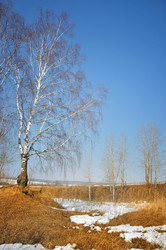 Similar image 186636