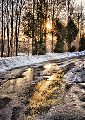 Similar image 186649