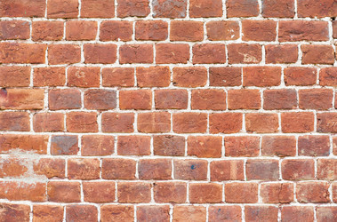 Similar image 186682