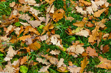 Similar image 186694