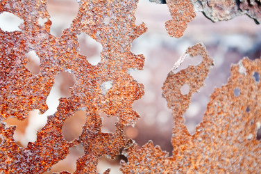 Similar image 186719