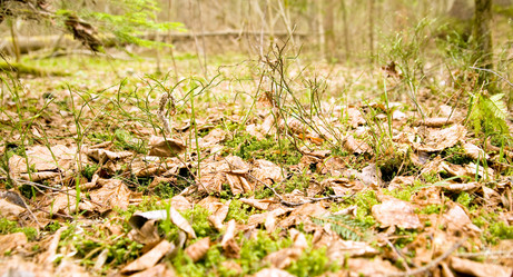 Similar image 186733