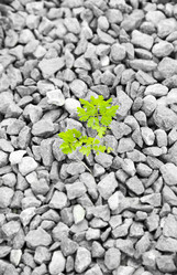 Similar image 186737