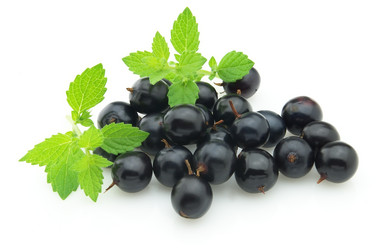 Similar image 186738