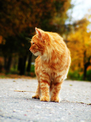 Similar image 186763