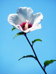 Similar image 186773