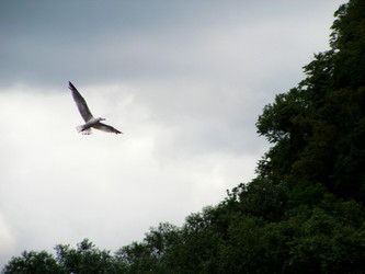 Similar image 186774