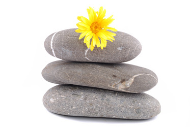 Similar image 186787