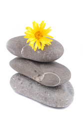 Similar image 186788