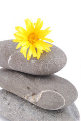 Similar image 186789