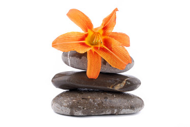 Similar image 186791