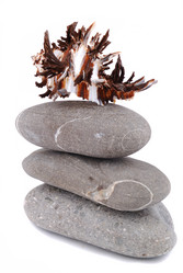 Similar image 186792