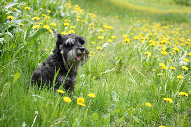 Similar image 186873